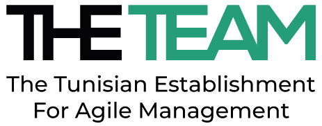 cropped-logo-the-team (1)